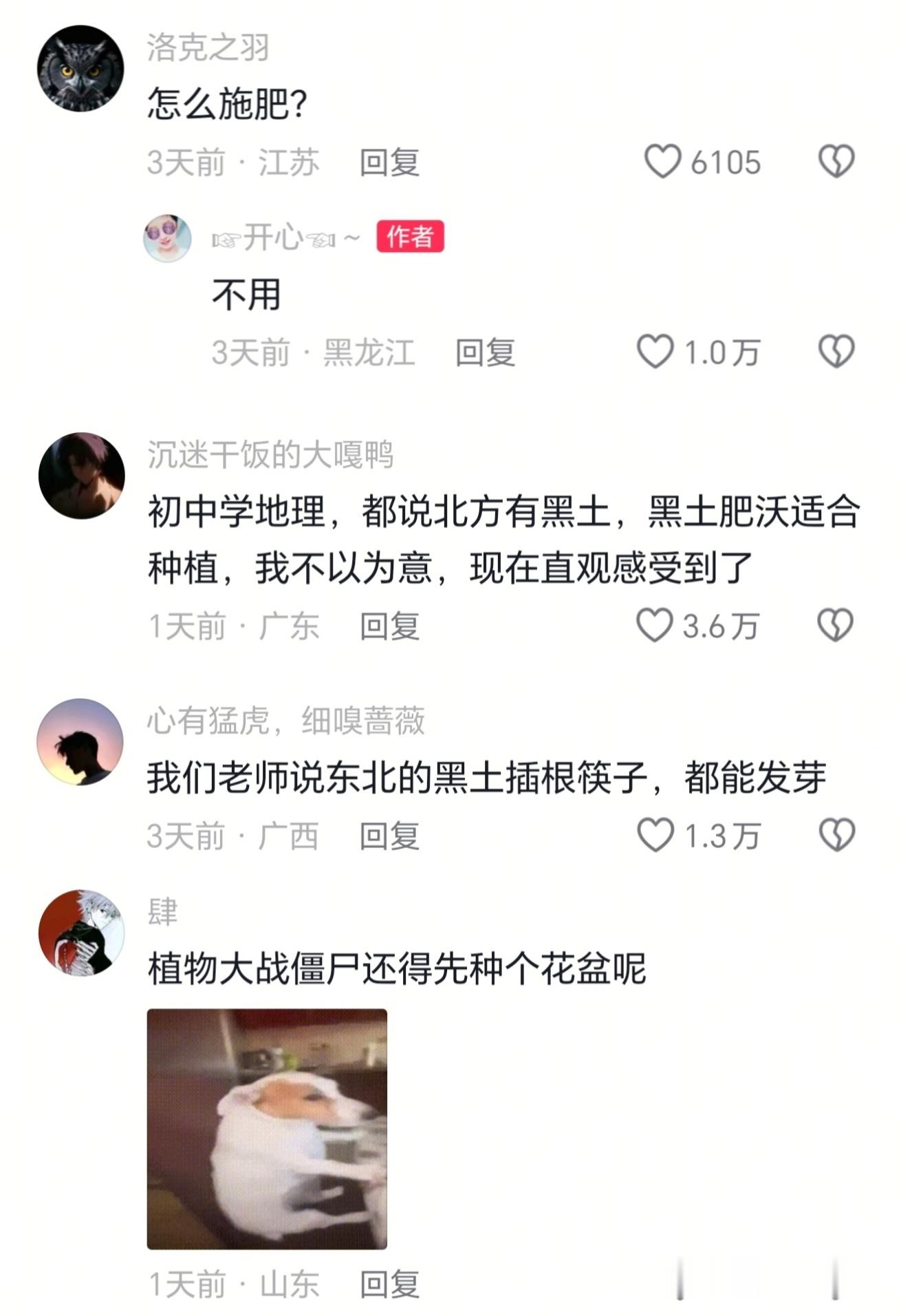 第一次直观感受到黑土地与普通土地的区别​​​