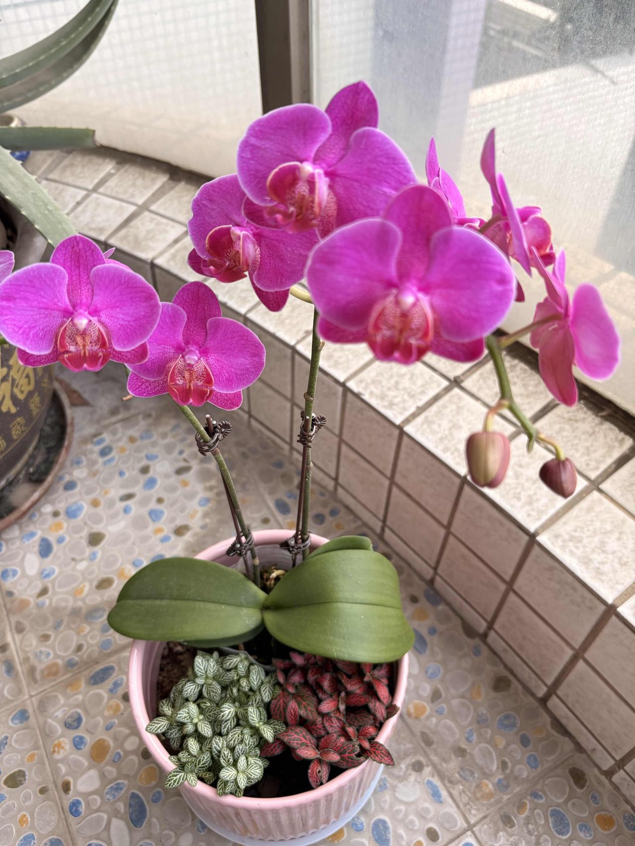 有没有发现一个扎心的事实？就是小时候送孩子们去教育培训机构练的舞蹈，钢琴，书