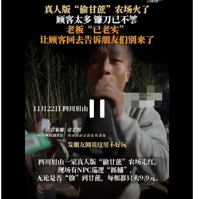 见过求好评头回见老板求顾客发差评的眉山偷甘蔗农场火到失控，老板急得劝大家发朋