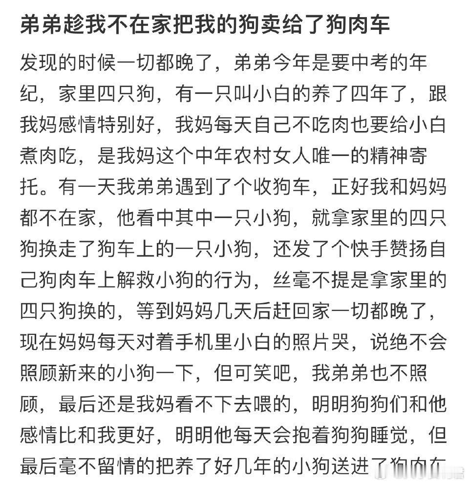 弟弟趁我不在家把我的狗卖给了狗肉车​​​​