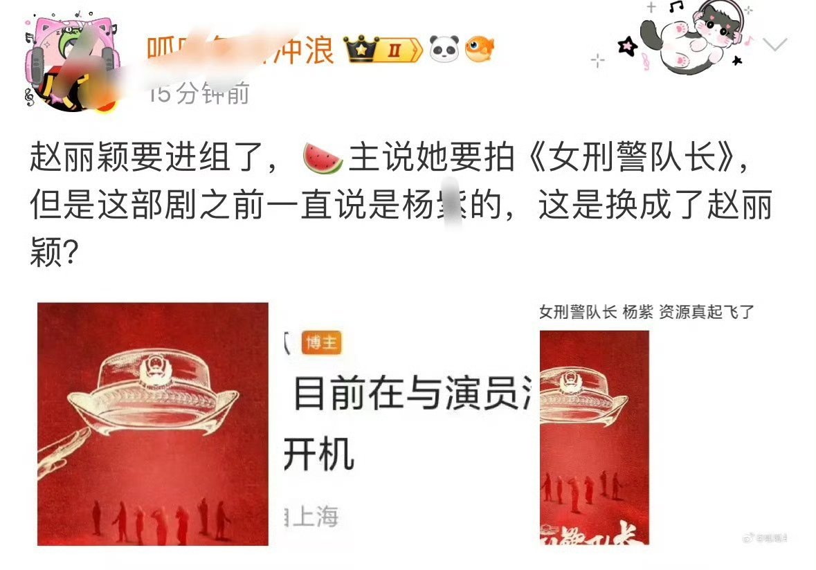 赵丽颖下一个饼流程已经预料到了PS:这个《女刑警队队长》最早传的就是丽
