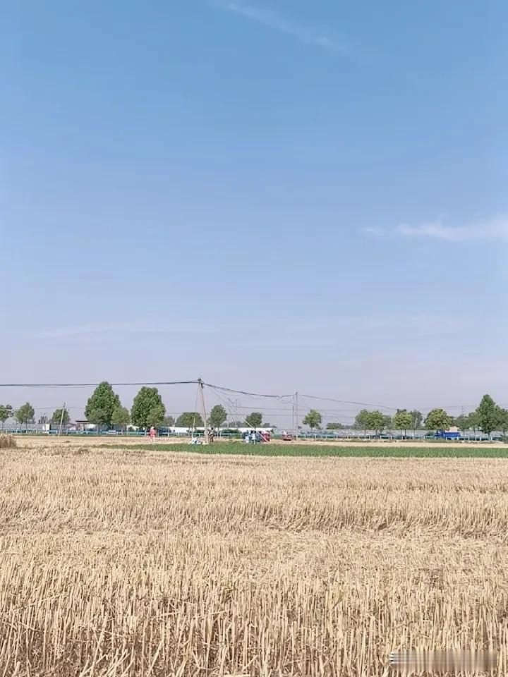 农忙少闲月，五月人倍忙。蓝天白云，晴空万里。庄稼人都在地里等着，盯着日头。在雨季
