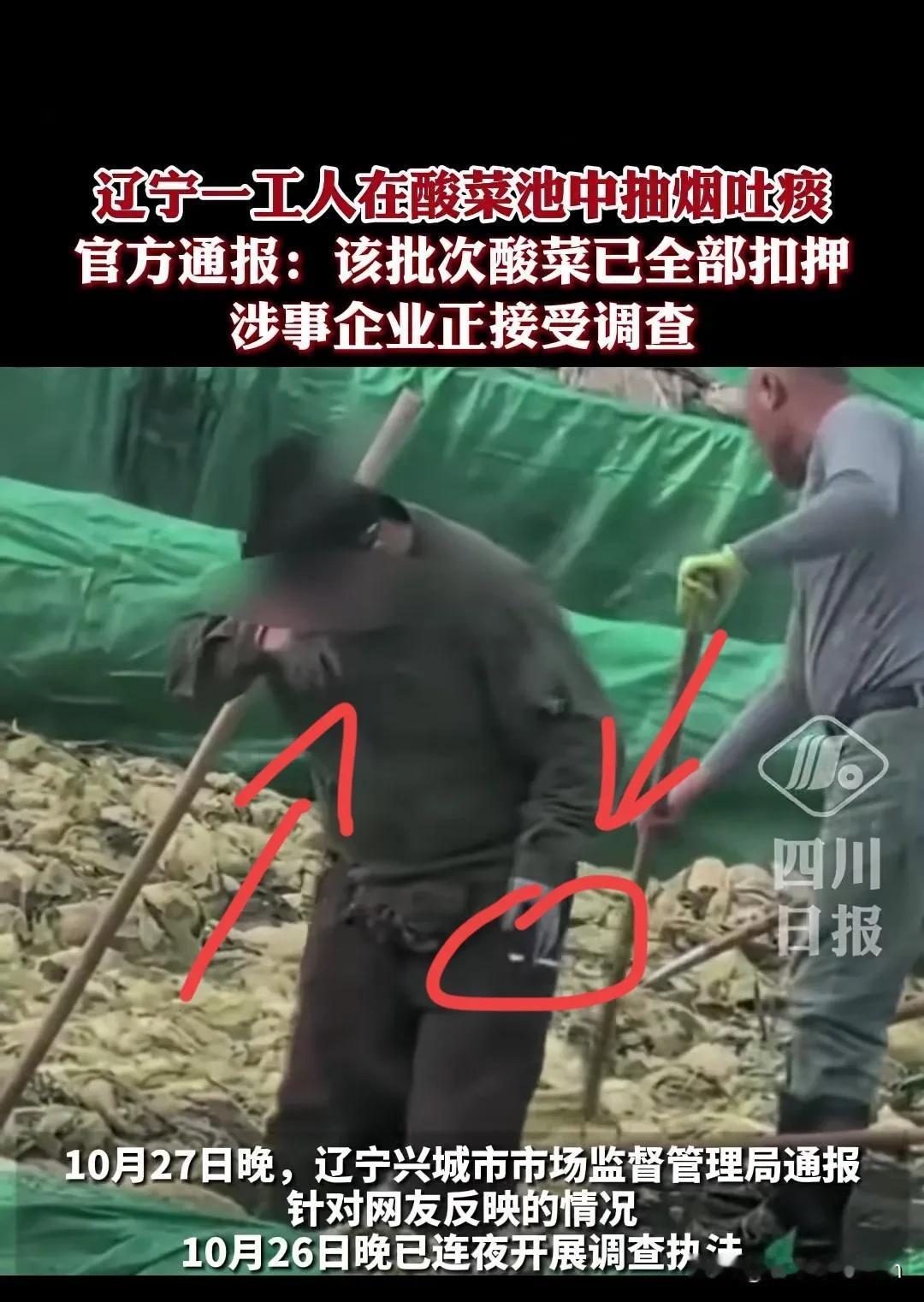 一觉醒来,辽宁腌菜厂的天塌了不是因为工人在酸菜池子里抽烟,也不是因为工人在