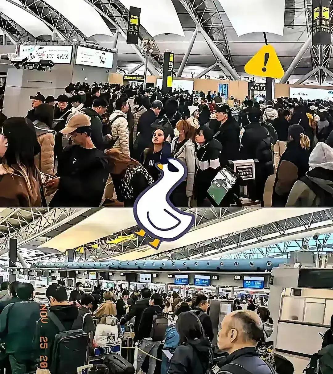 傻眼了吧，赴日旅游这就是不听劝的后果，去的潇洒，想回来可不容易了。航班取消买不到