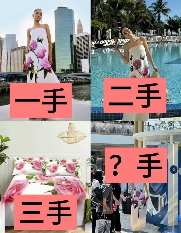 三手我要是丽真的恨死她粉丝了，本来床单棉被这个裙子不出圈的，这下好了，丽粉舞个热
