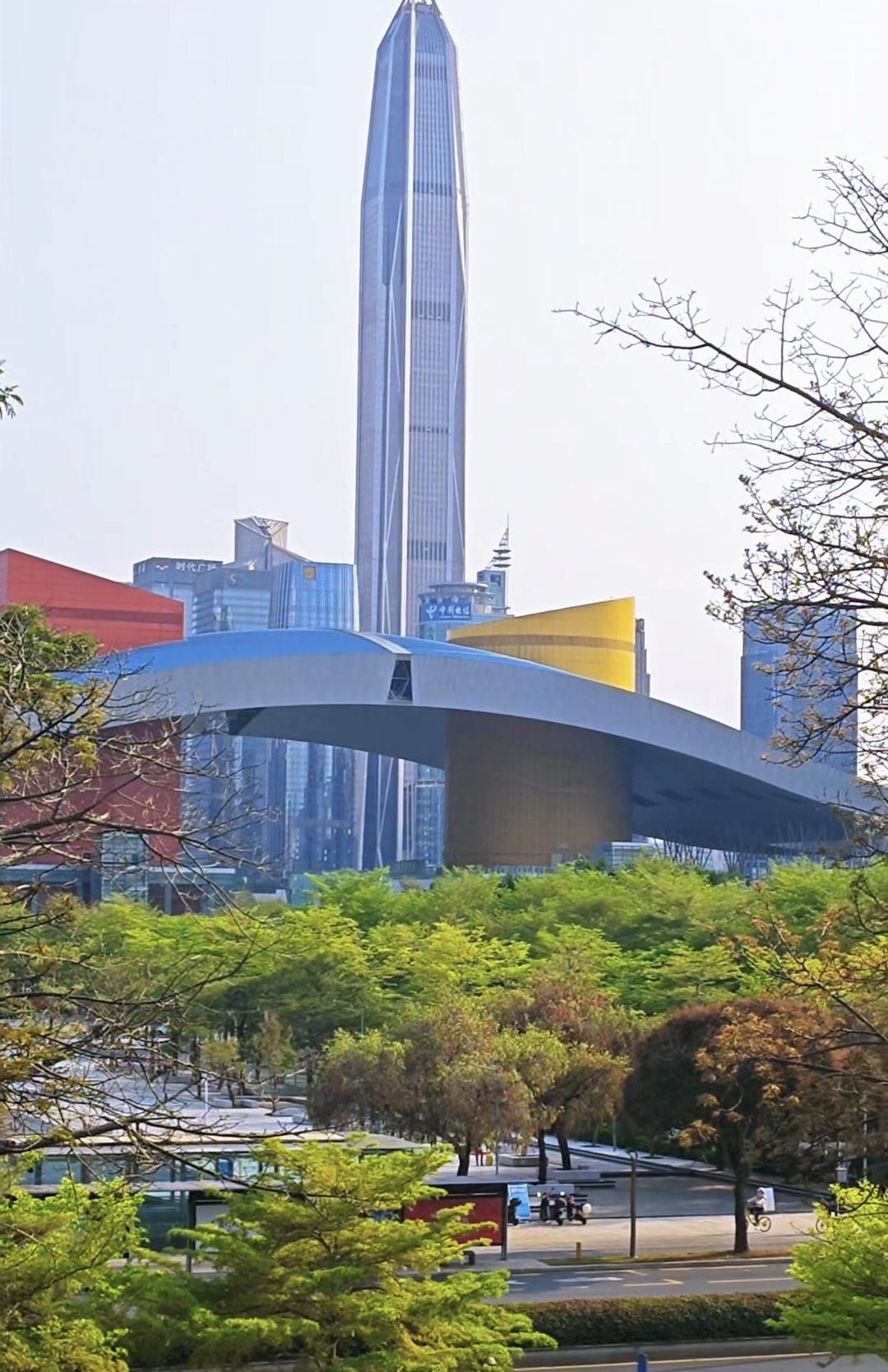 这是深圳春天的真实影像。从春节到现在，应当是深圳气候最好，风景最美的时间段，也是