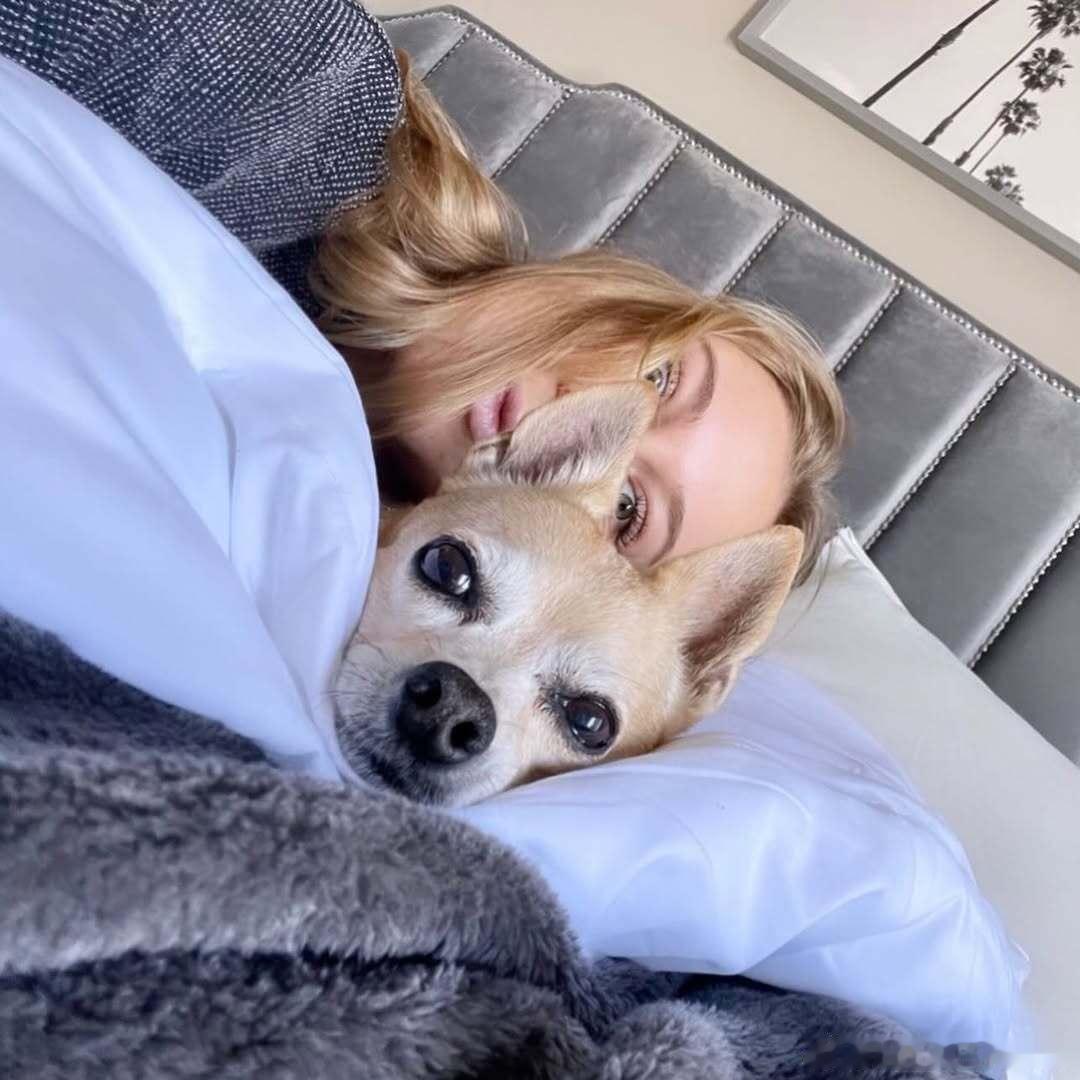 阿尼西莫娃爱犬🐶去世Myforeverlittleangelbaby