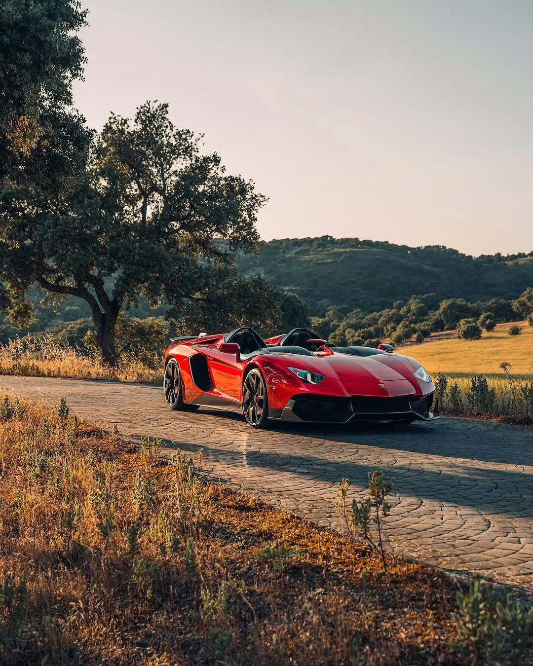 兰博基尼AventadorJ[墨镜][墨镜]​​​