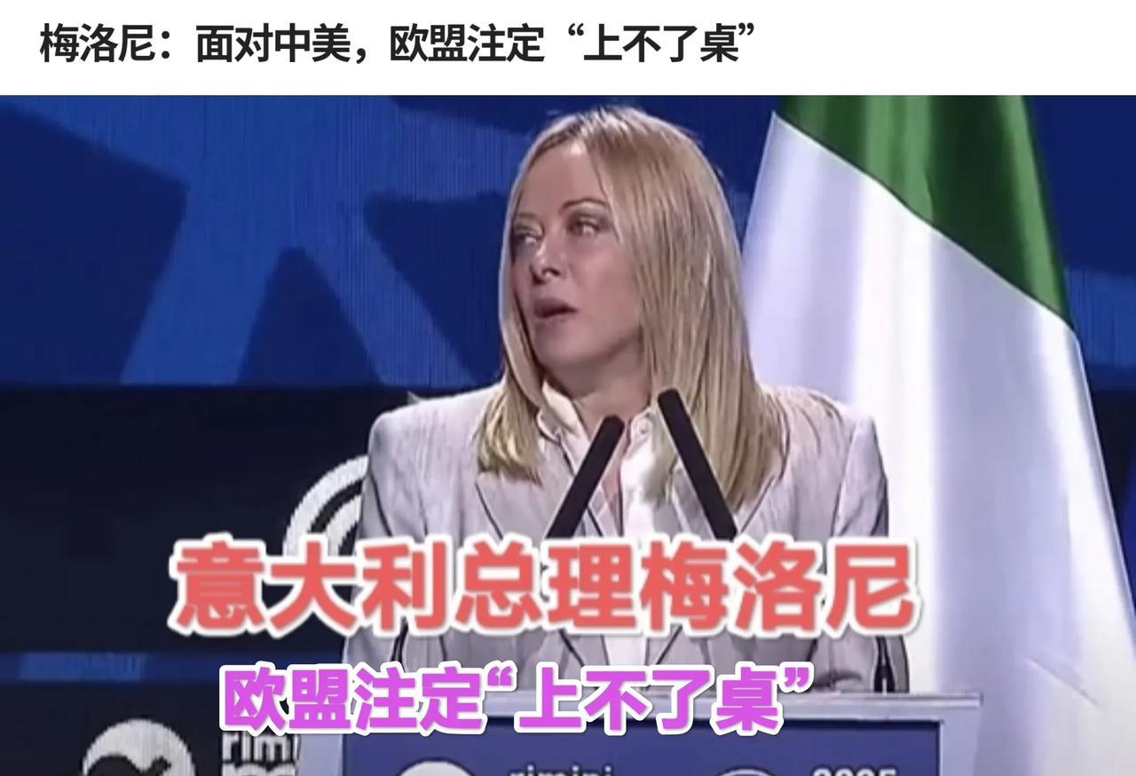 这一句话，欧盟终于有人说出来了！8月23日，意大利总理梅洛尼在一年一度“里米尼会