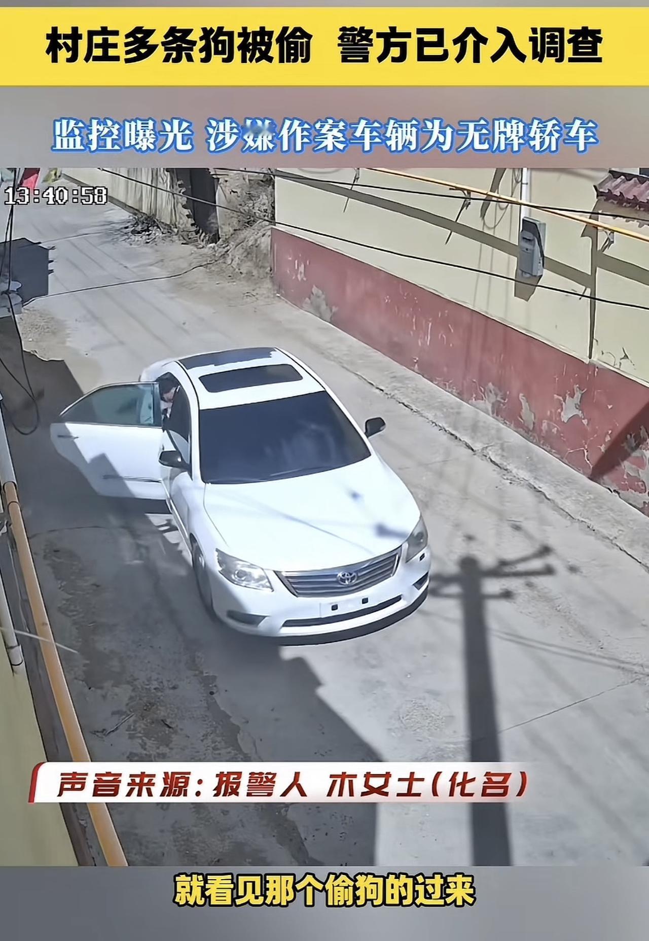 最近很多人都在说宠物运输，我以为又出了个新的行业，原来这是在说偷狗。这不有网友就