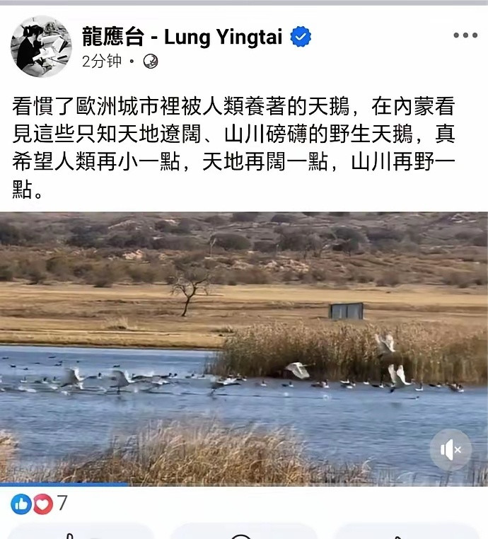 龙应台在大陆明明看到了比欧洲强的地方，可她就是拉不下脸来夸一句。结果呢，写出来的