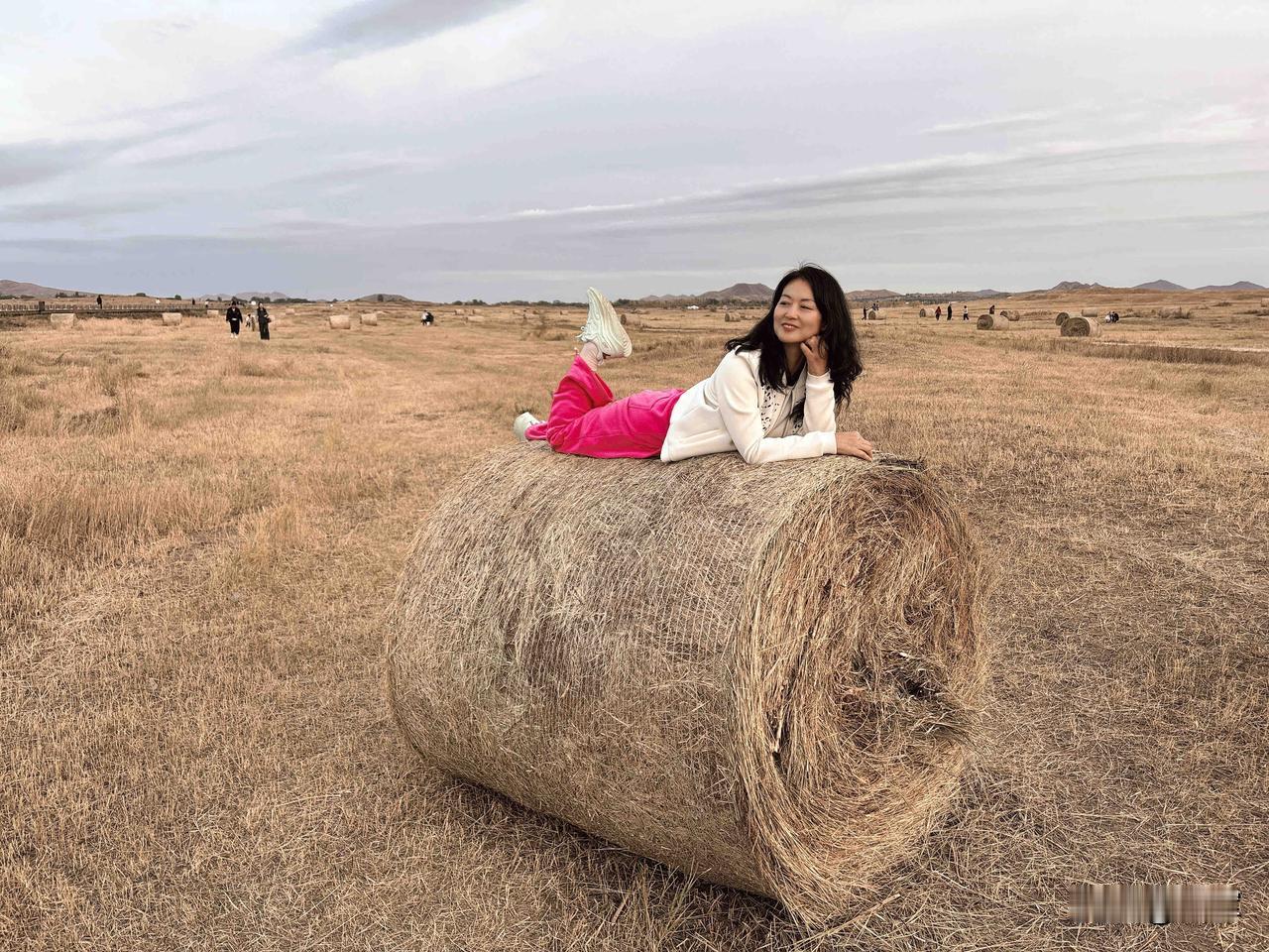 草原上的静谧时光，坐在干草堆上，感受大自然的宁静与美好。第一次看见这样的草卷