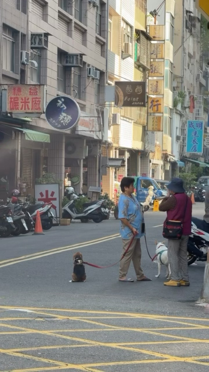 阿嬷到底还要聊多久？狗狗好可爱的背影