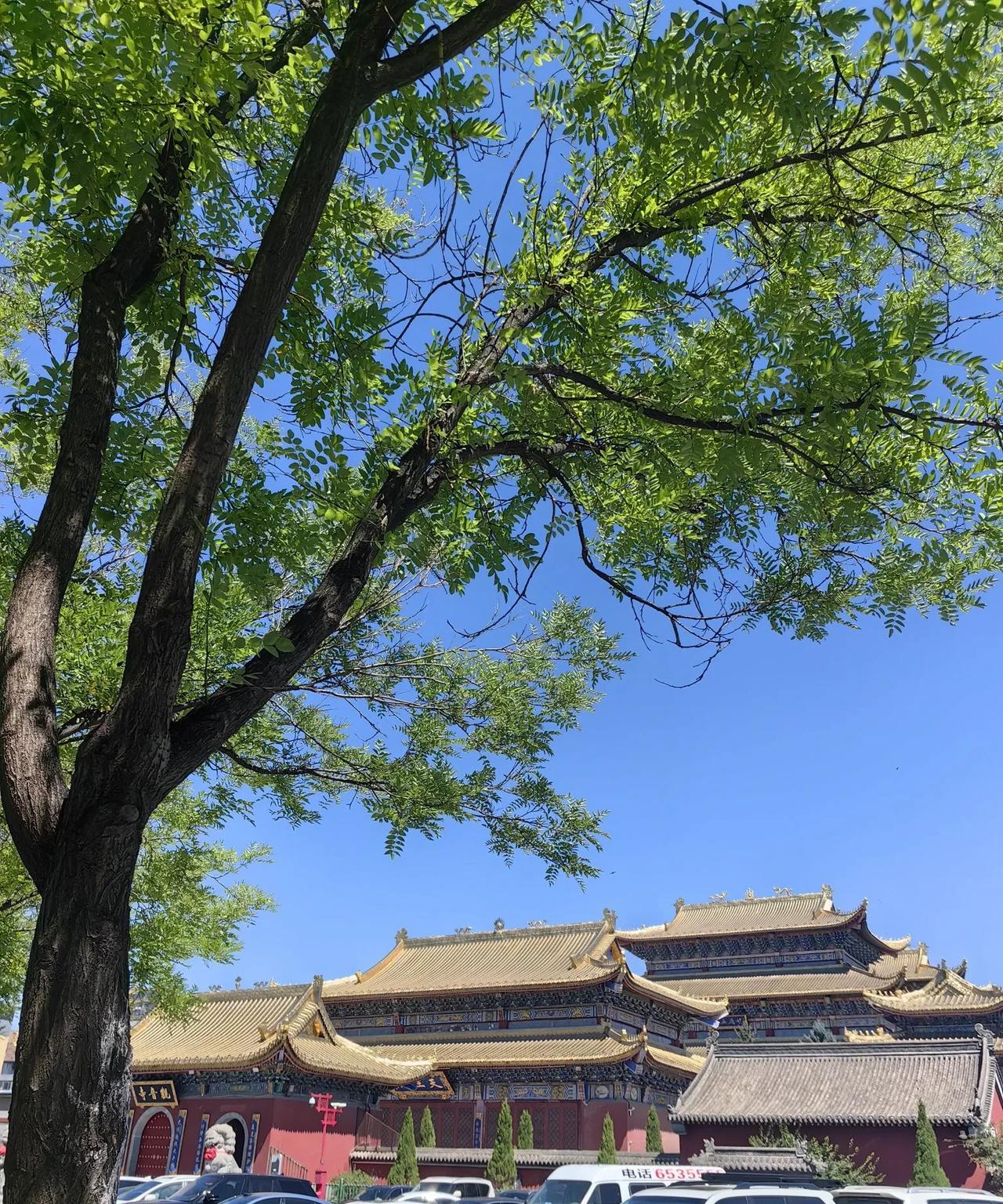 退休生活：旅游结束，聊聊体会。退休后，时间自由，旅游尽量错峰出行，打时间擦边球