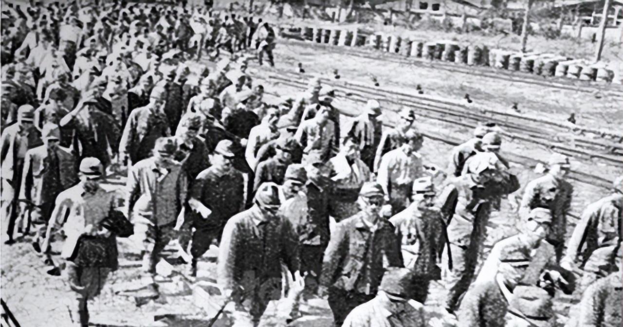 1946年，零下三十度的寒风穿透通化的城头。三千名日本战俘身穿单衣，跪在雪地上，