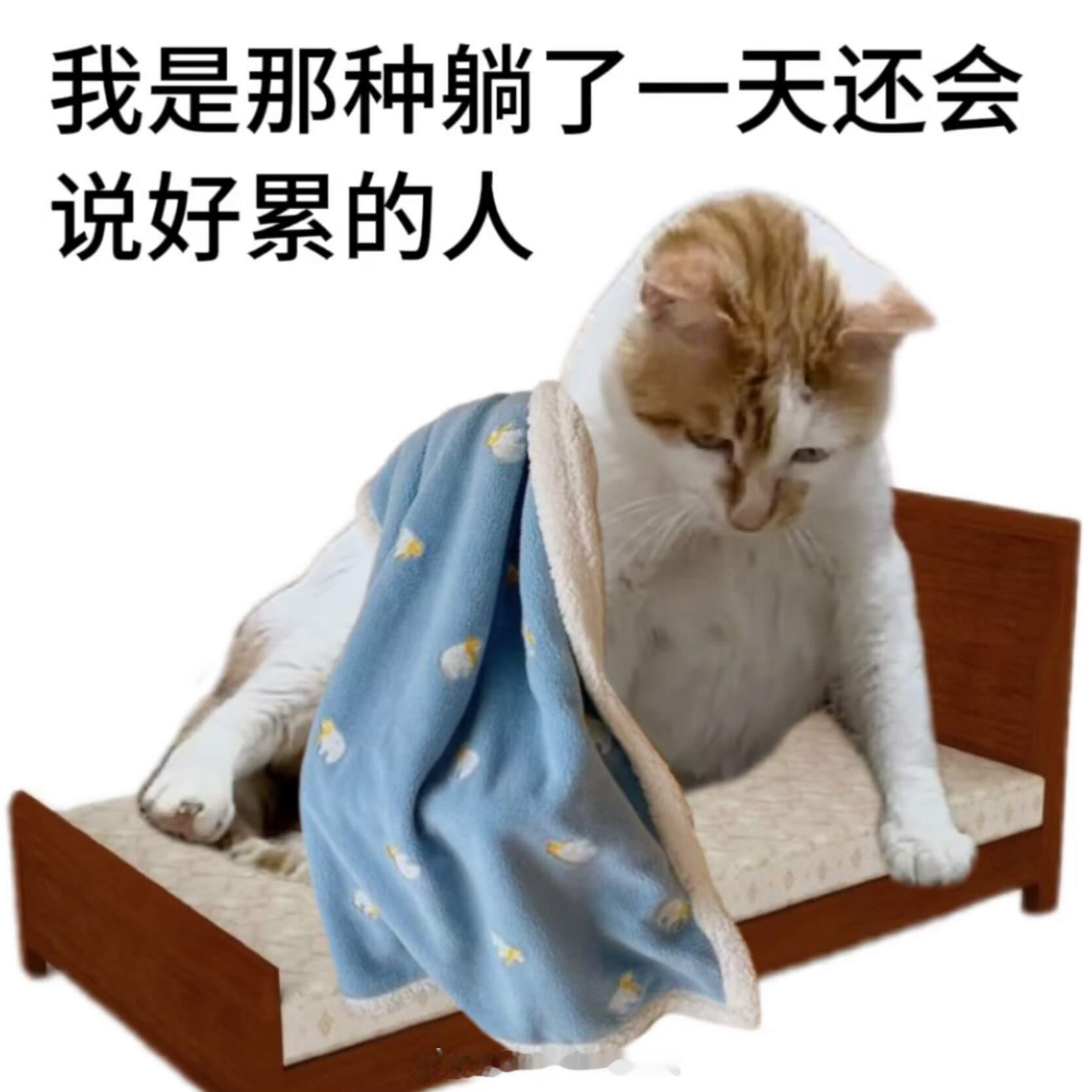 网友投稿图片选集​​​