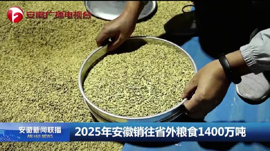 2025年安徽省销往省外粮食1,400万吨！安徽省依旧是我国的产粮大省，在满