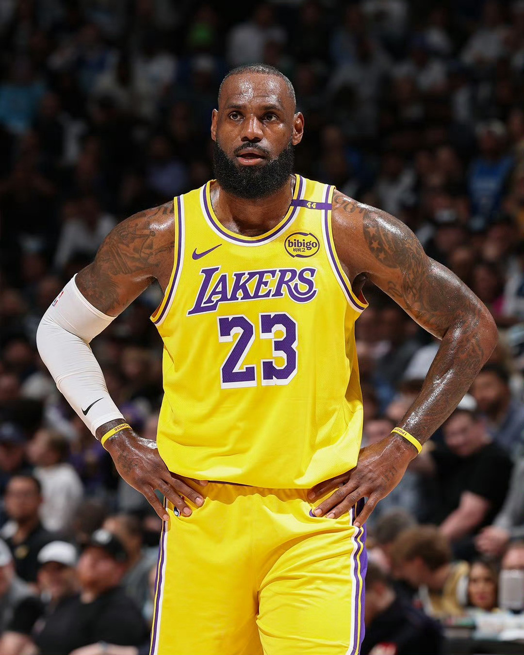 重磅消息！老詹执行合同再战一年！​据ESPN的湖人跟队记者DaveMcMena