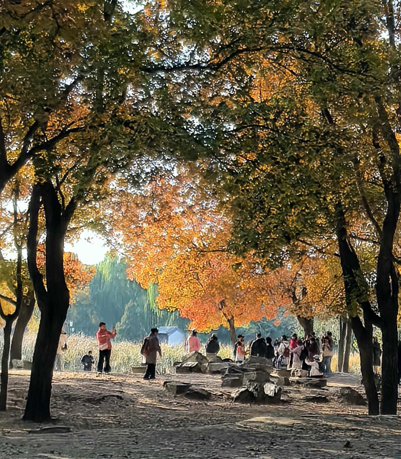 圆明园到底有多美，有没有照片为证圆明园遗址公园里最美的风景是兴高采烈拍摄美景的人