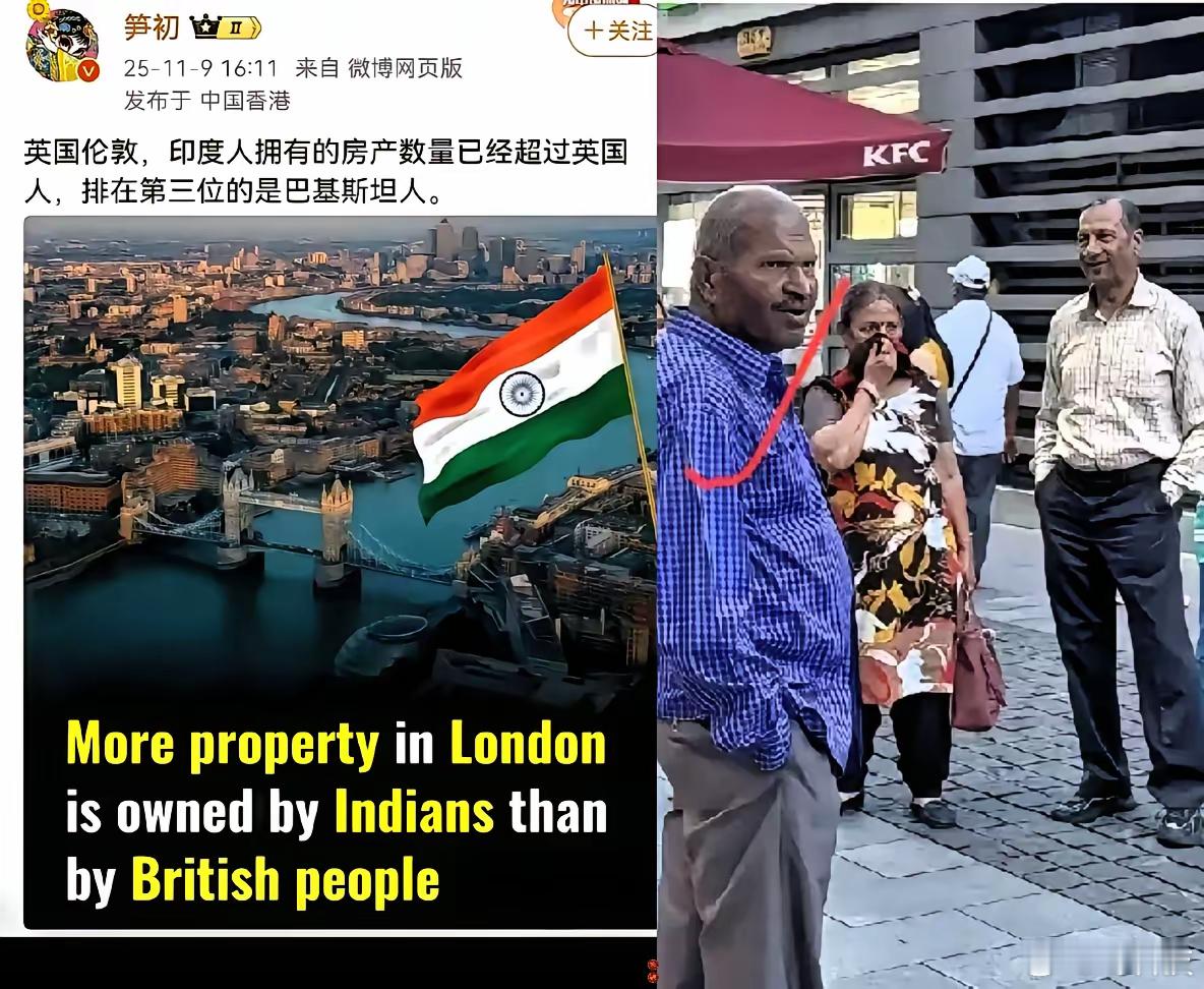 英国就是个例子，涌入的印度人越多反而成了国家的主力军，核心区房产都被他们买走了。