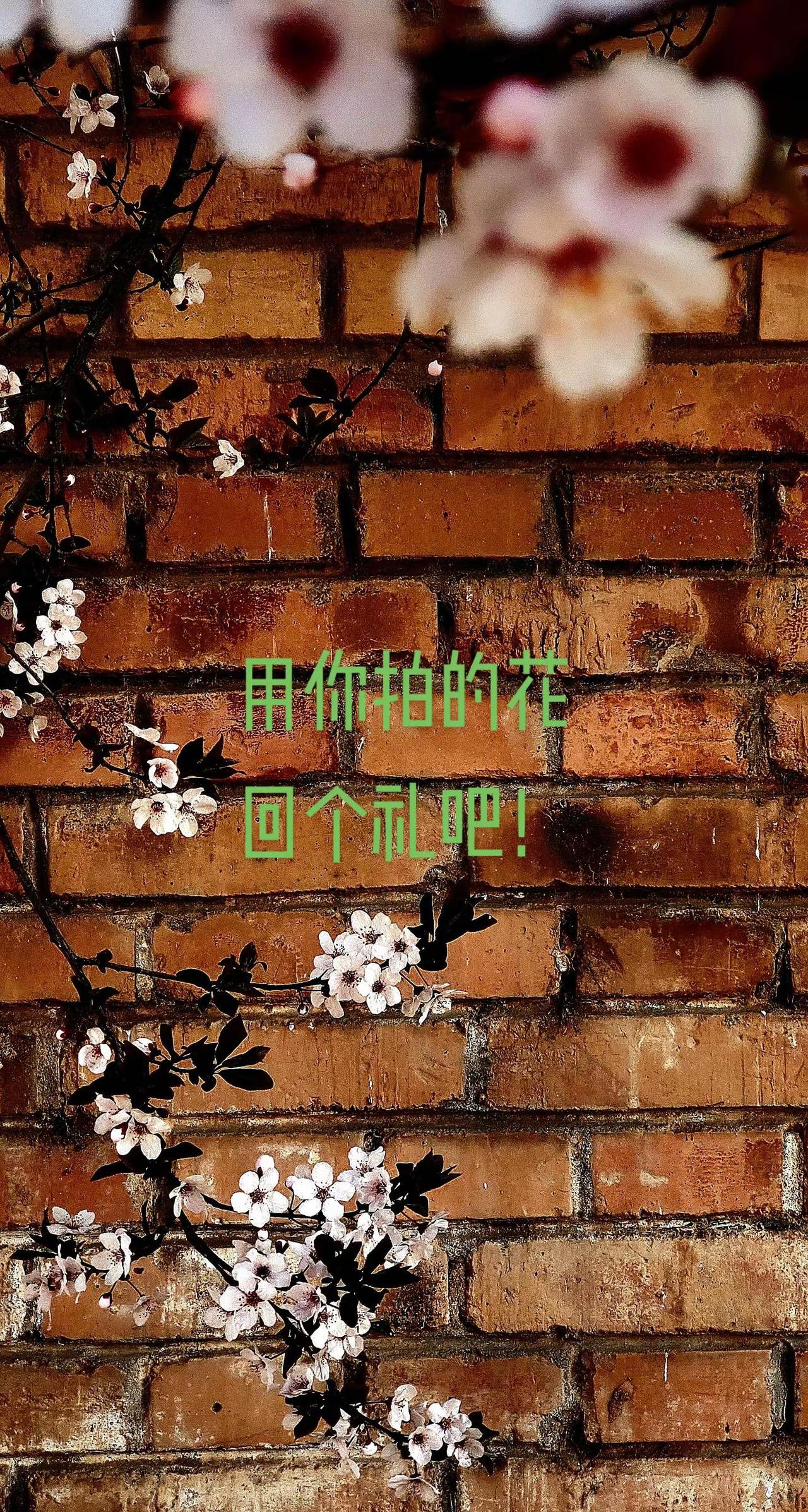 就这样记录你慢慢长大