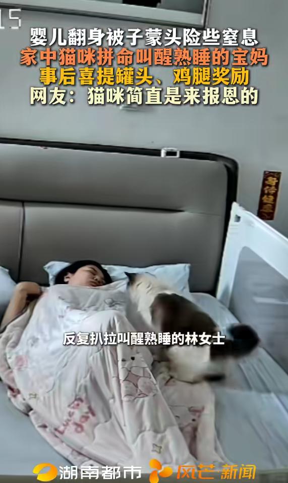 8月8日，山东临沂，一宝宝睡觉时翻身，整床被子直接盖住头部，随时可能窒息，当时宝