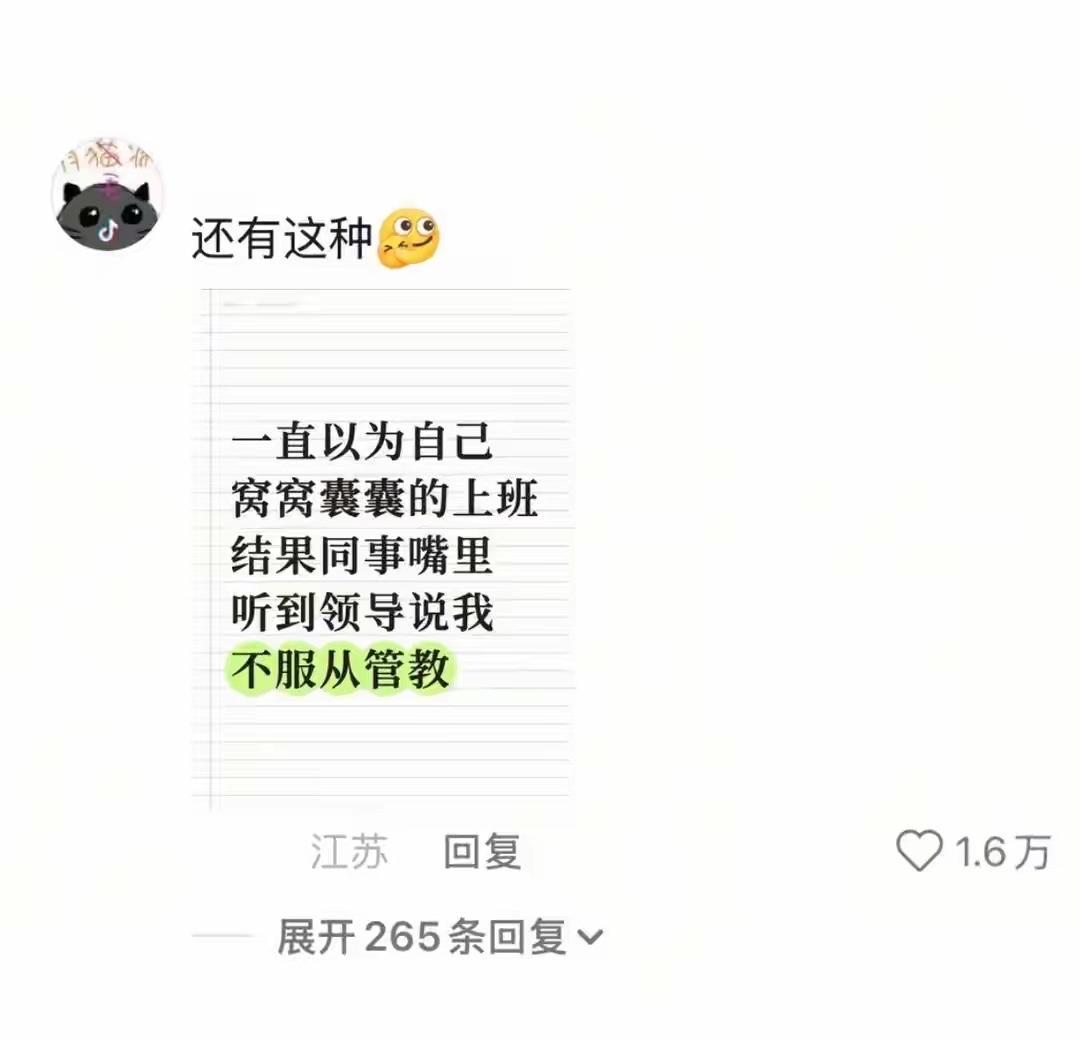 钝感力很强的人上班就是这样