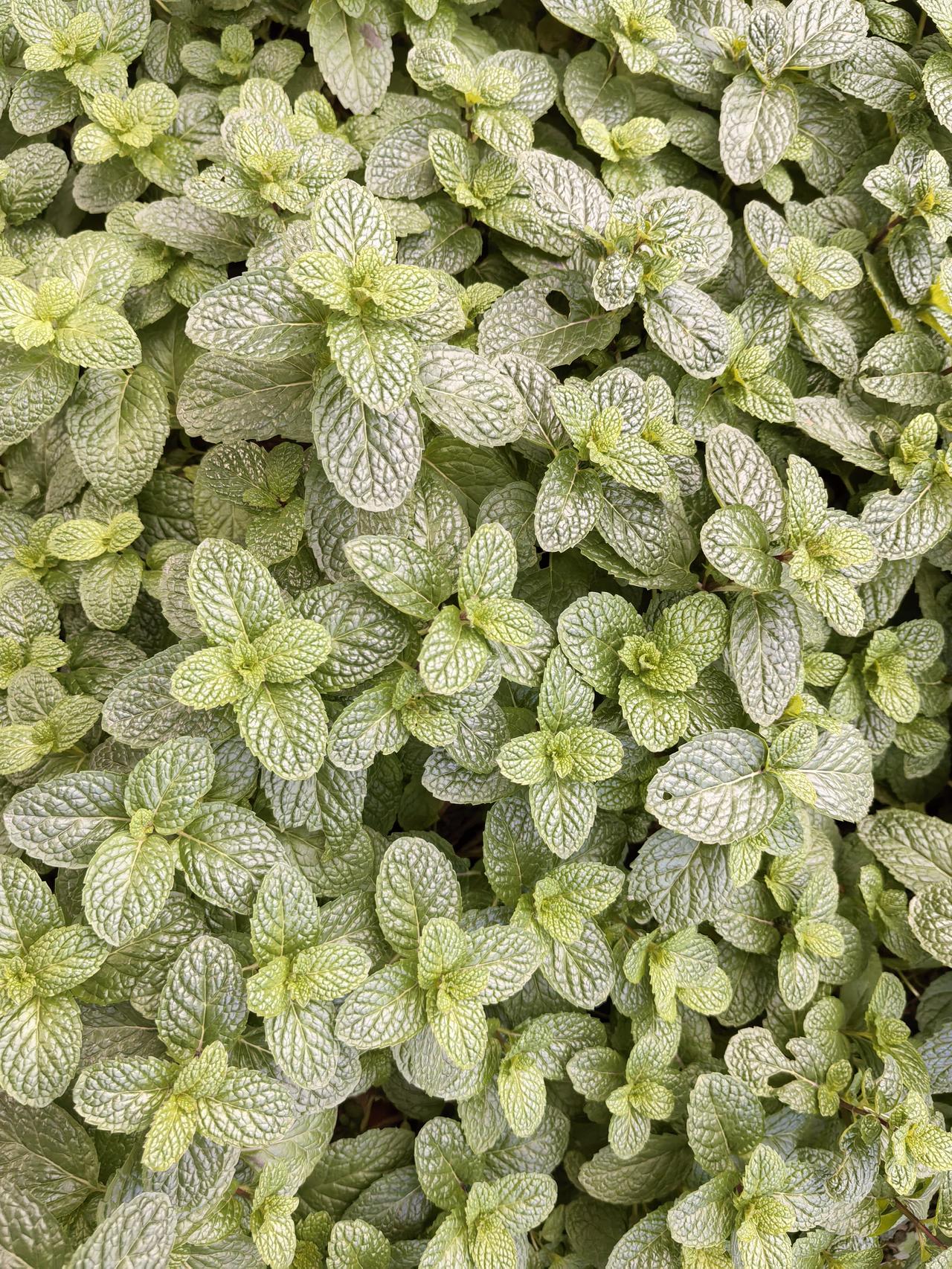 如何摆脱恶男：浙江衢州，女子叶某跨年夜被前男友捅26刀身亡。叶某哥哥说，当时