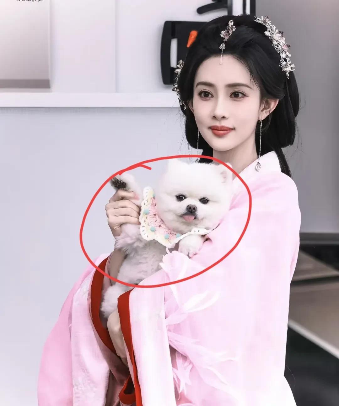 又长见识了！​见过演员塌房，见过导演塌房，​万万没想到，还能见到