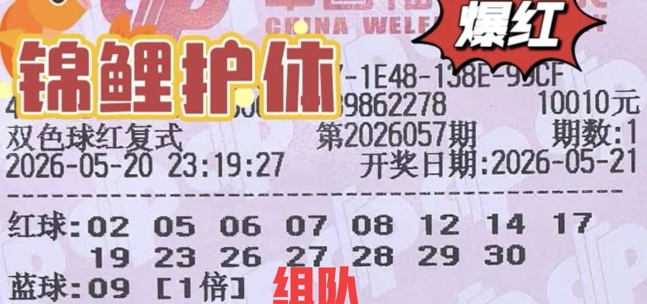 3张万元大复式又来组队给主任送菜了！这一期它们似乎与上一期没有太多变化，蓝号还是