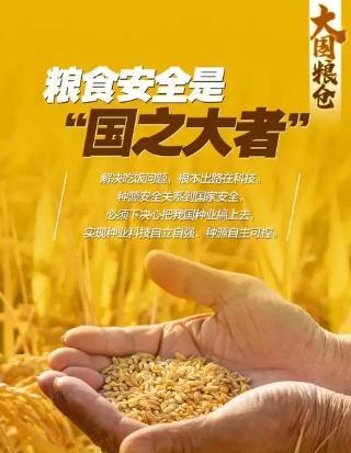 现在老美想用粮食来卡中国的脖子，恐怕没那么容易。因为现在的中国，早就摆脱了单一依