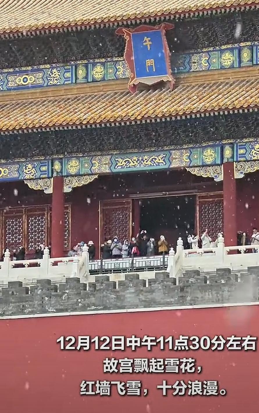 北京的雪下冒烟了，飘到石家庄成了熊猫乐园！12月12日的华北，