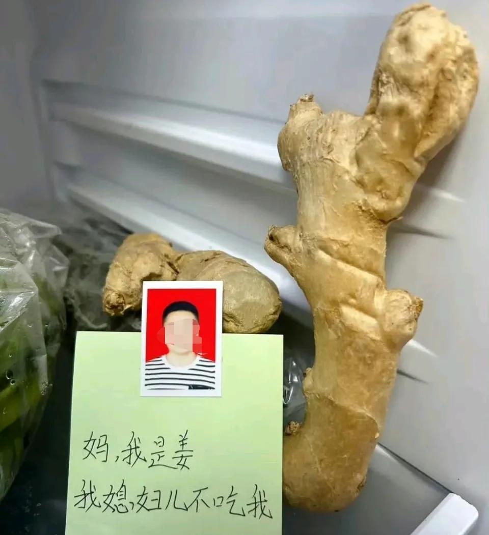 男子要出差，叫自己妈过来照顾媳妇，为了让老妈把媳妇照顾的舒服又不吵架，特意用心的