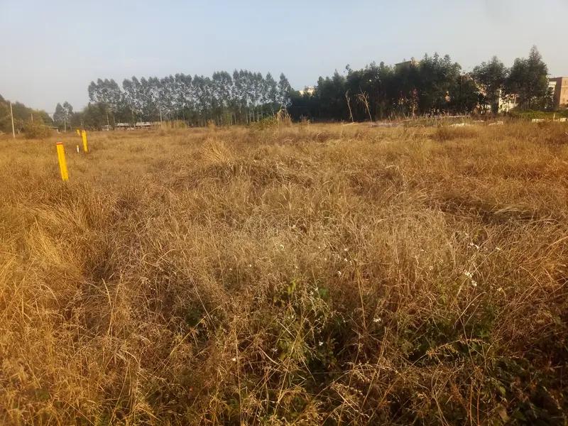 种300亩地不算农机就花30万，这投入可真不小。我听说种1000亩地，那投资更是