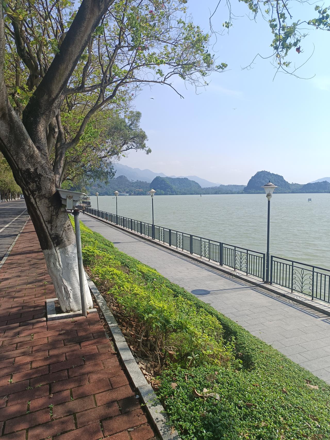 我终于知道了为什么肇庆拥有两个5a级风景区却没什么人知道你敢相信吗？