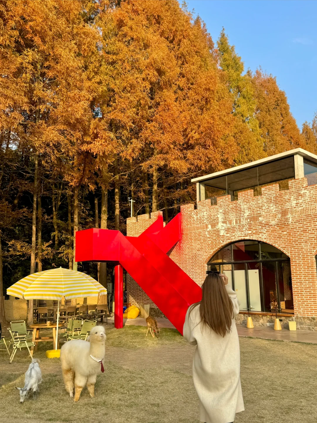 宁波的！宁波的！美哭了！！🏰🍁