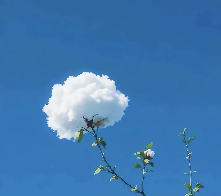 不得不说，现在的年轻女教师就是有个性。开学第一周，星期四的早上，教导处突然打