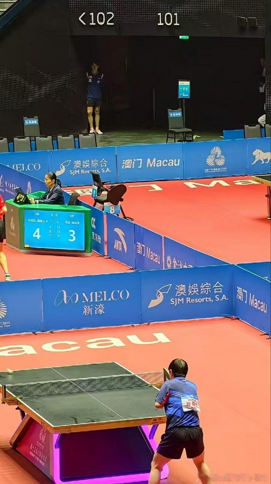 莎莎的毒唯楚钦老师