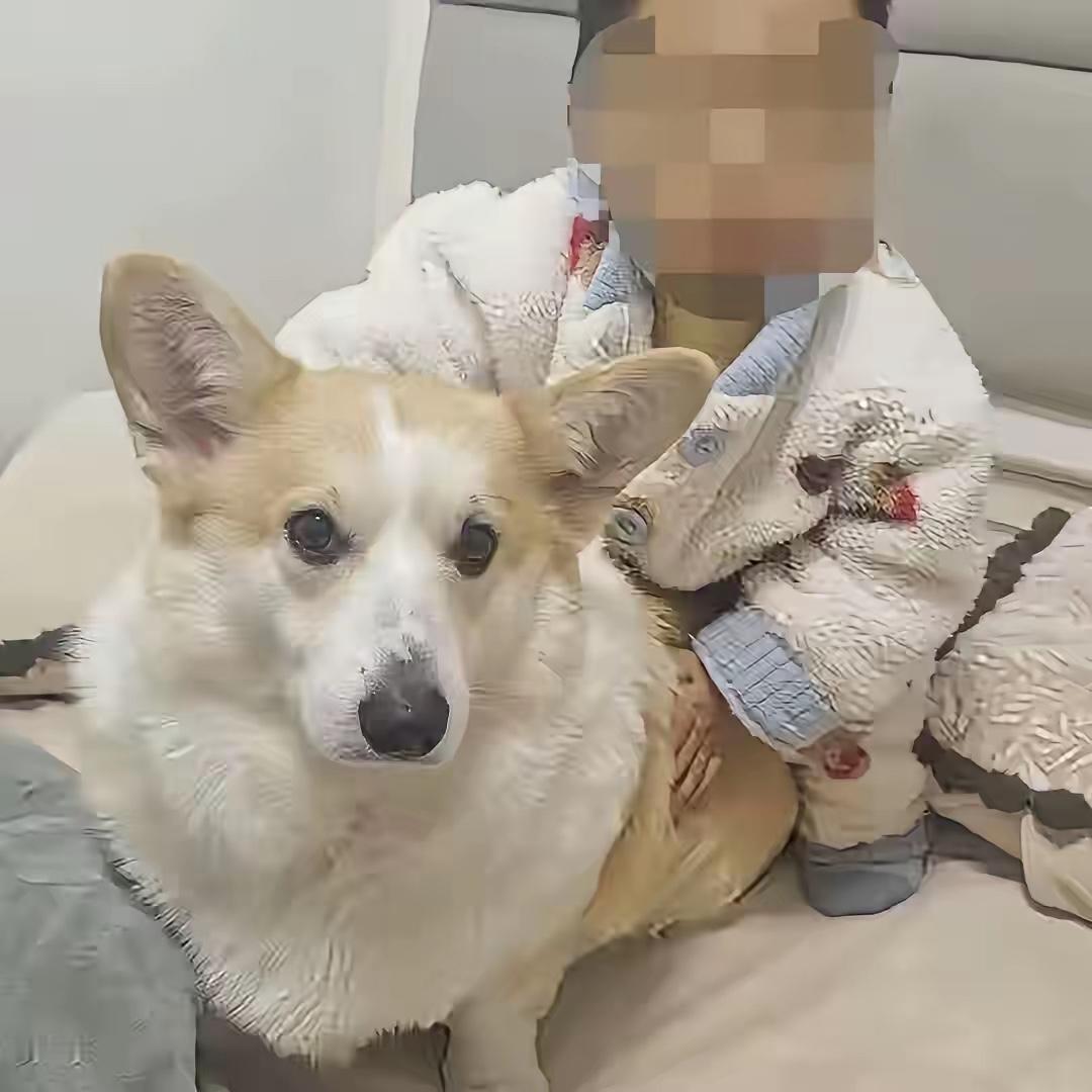 两岁幼童坠亡，父亲的反应让人脊背发凉。怀疑过他外面有人，也怀疑过夫妻没感情了，但万万没想到，这人骨子