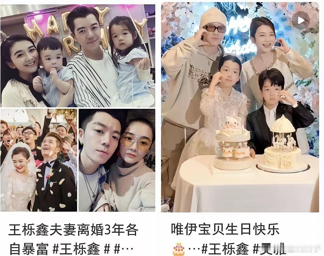 为什么王栎鑫在二胎刚出生时就离婚其实原因真的很简单，就是两人感情淡了，生活观不一