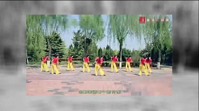 探戈-爱成叹息-冷漠VS杨小曼 广场舞视频教学