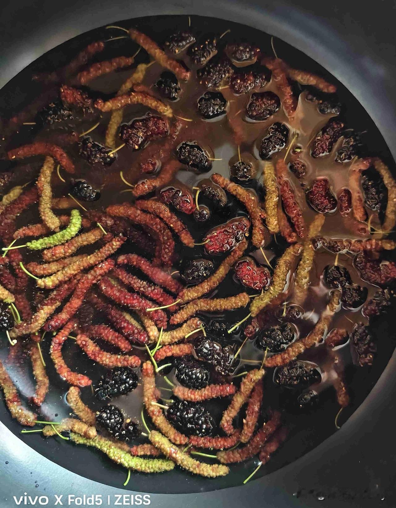 桑葚不能即摘即吃。昨天吃过晚餐，又去朋友的桑葚园摘桑葚，朋友们边摘边品尝，那