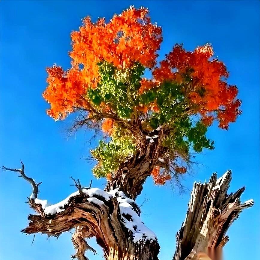 扎心不？等你真到了叫天天不应、叫地地不灵的时候，第一个把你当透明人的，很可能就