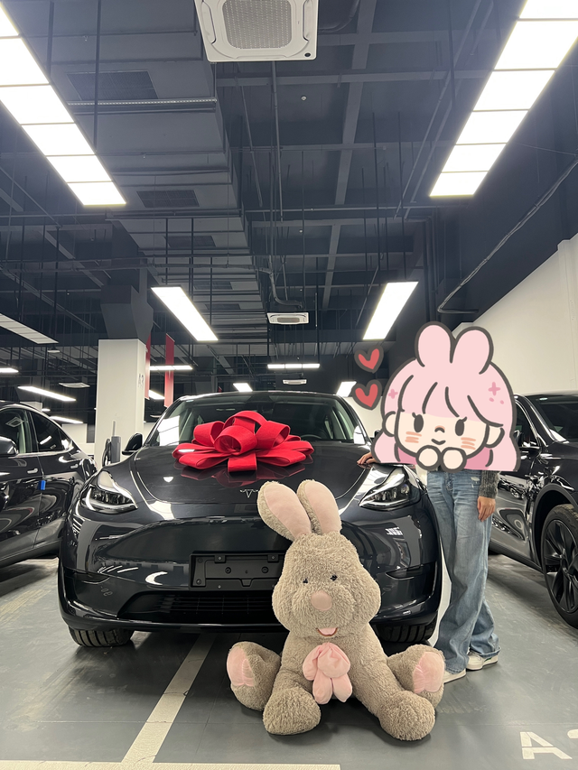 我的特斯拉，提车当天遇到的车机bug看了半年的车，最后决定还是特斯拉。其实我很