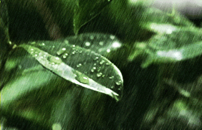 塔克拉玛干沙漠竟然连续下了两天暴雨，这一反常现象瞬间引爆了舆论，也顺理成章地将“