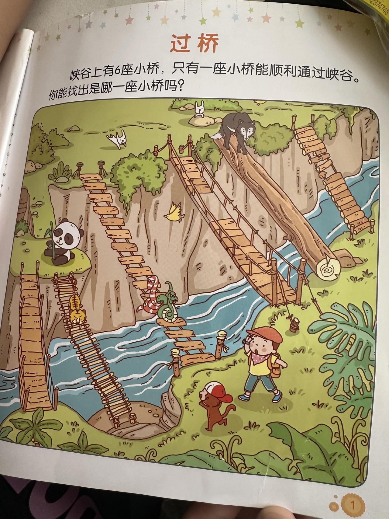 儿子问我到底走哪座桥呢？