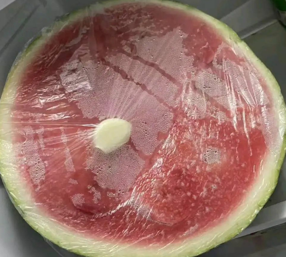 谁能懂，一大早打开冰箱看到这个的绝望程度