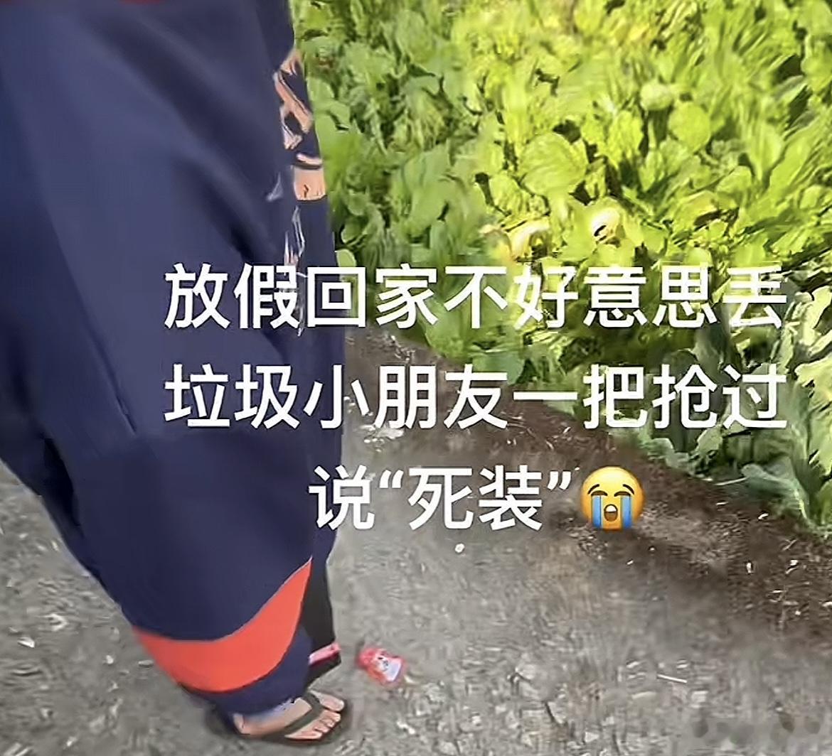 被素质教育困住的那一代人哈哈哈哈哈