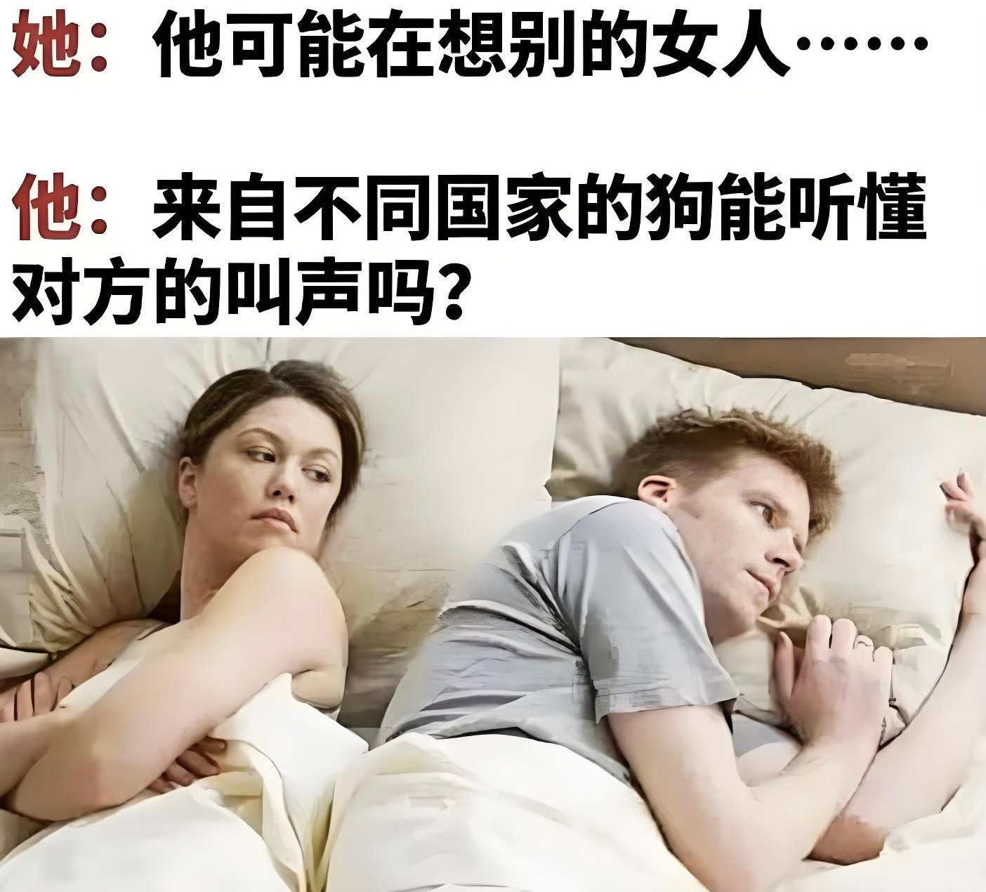 所以到底听不听得懂🤔