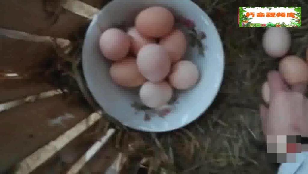 13072114282306930470.jpg?id=0